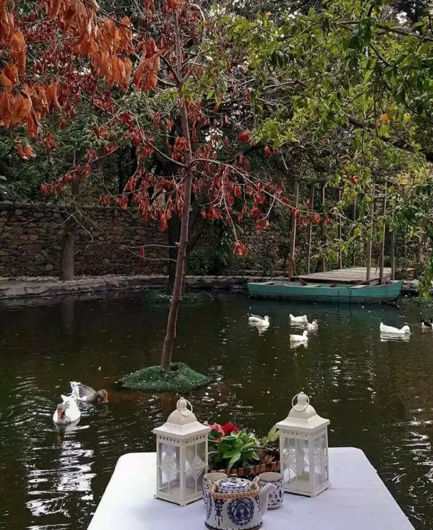 باغ عمارت ویدا