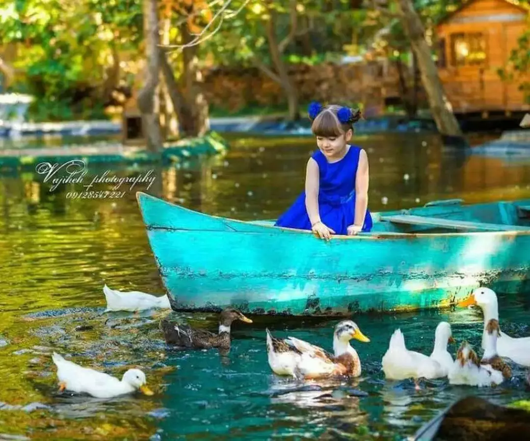 باغ عمارت ویدا