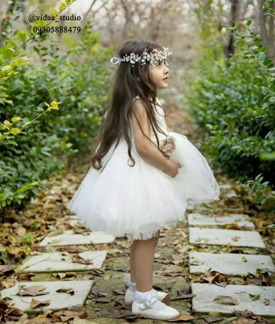 باغ عمارت ویدا