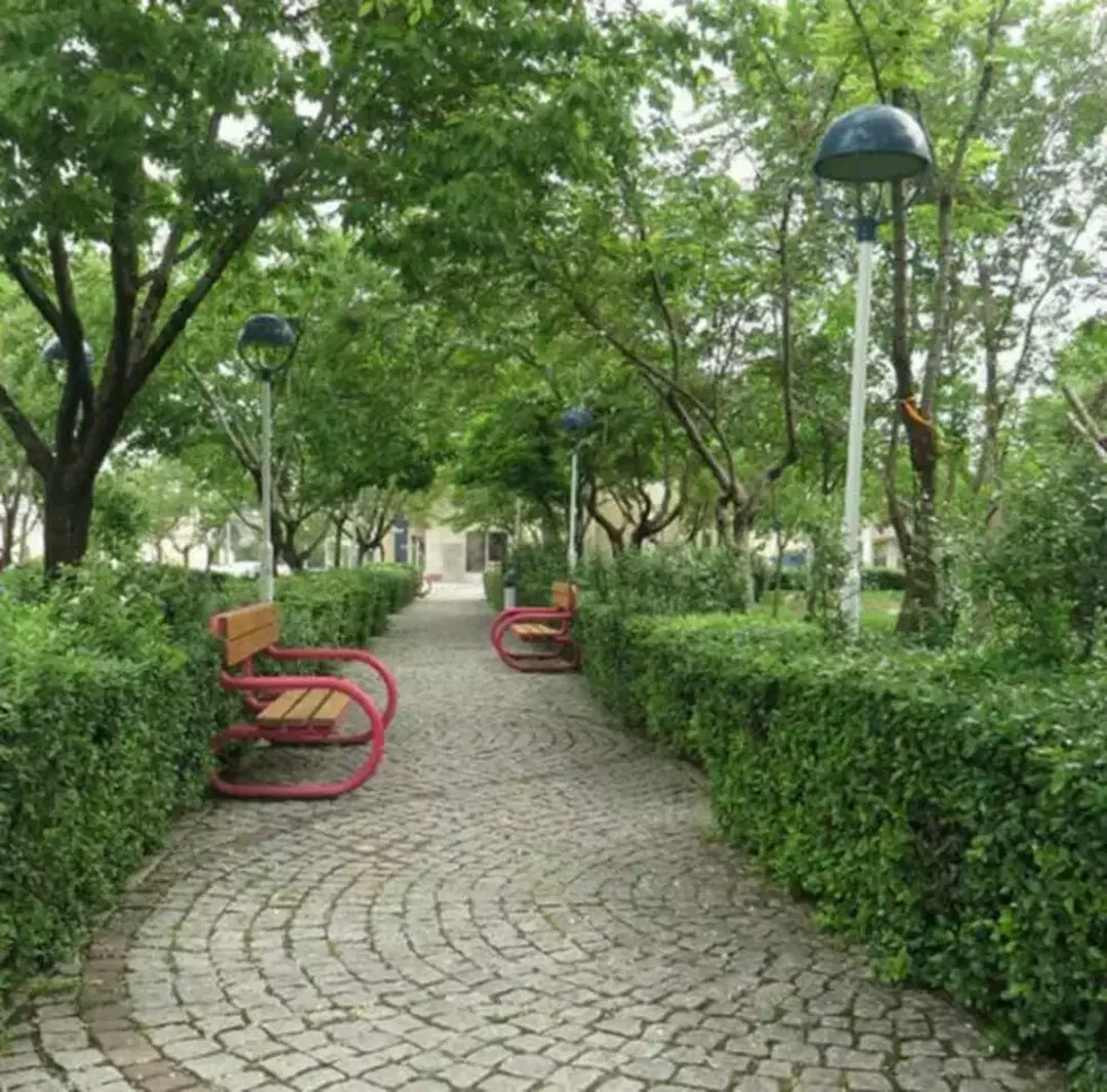 پارک کوهسنگی