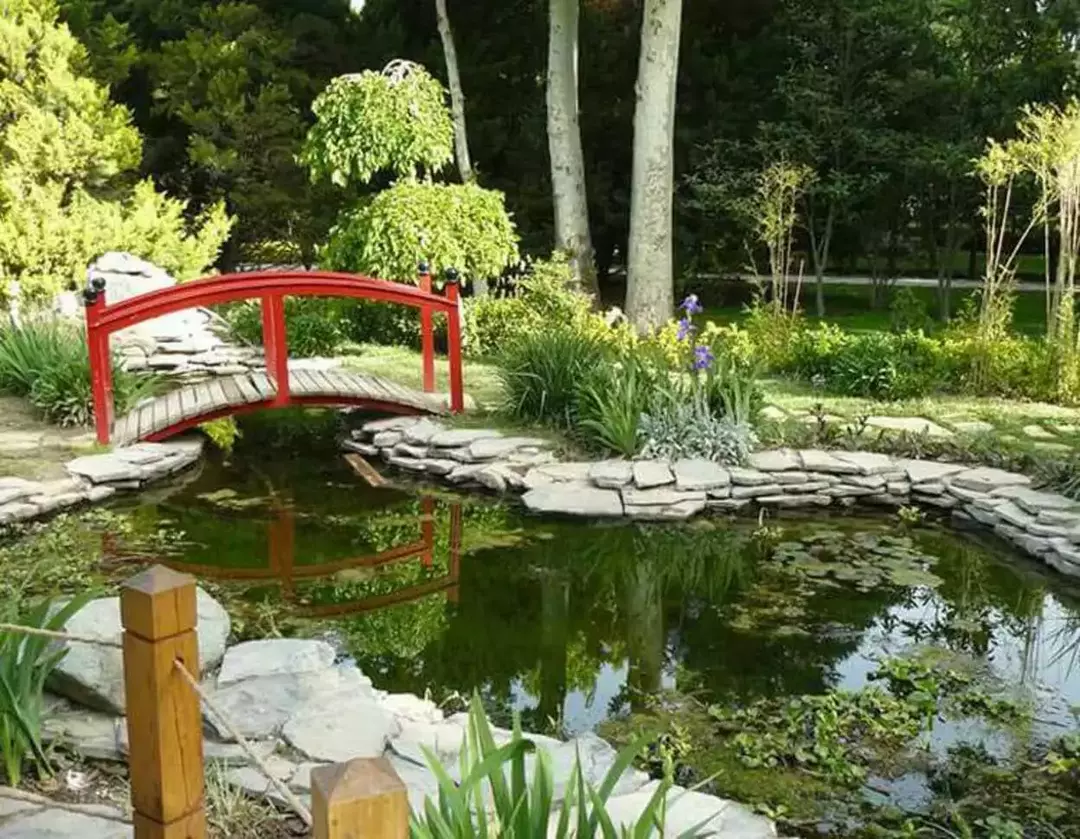 باغ پرندگان مشهد