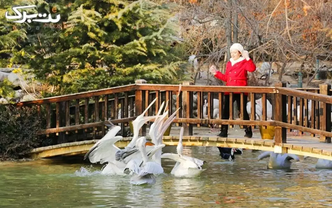 باغ پرندگان مشهد