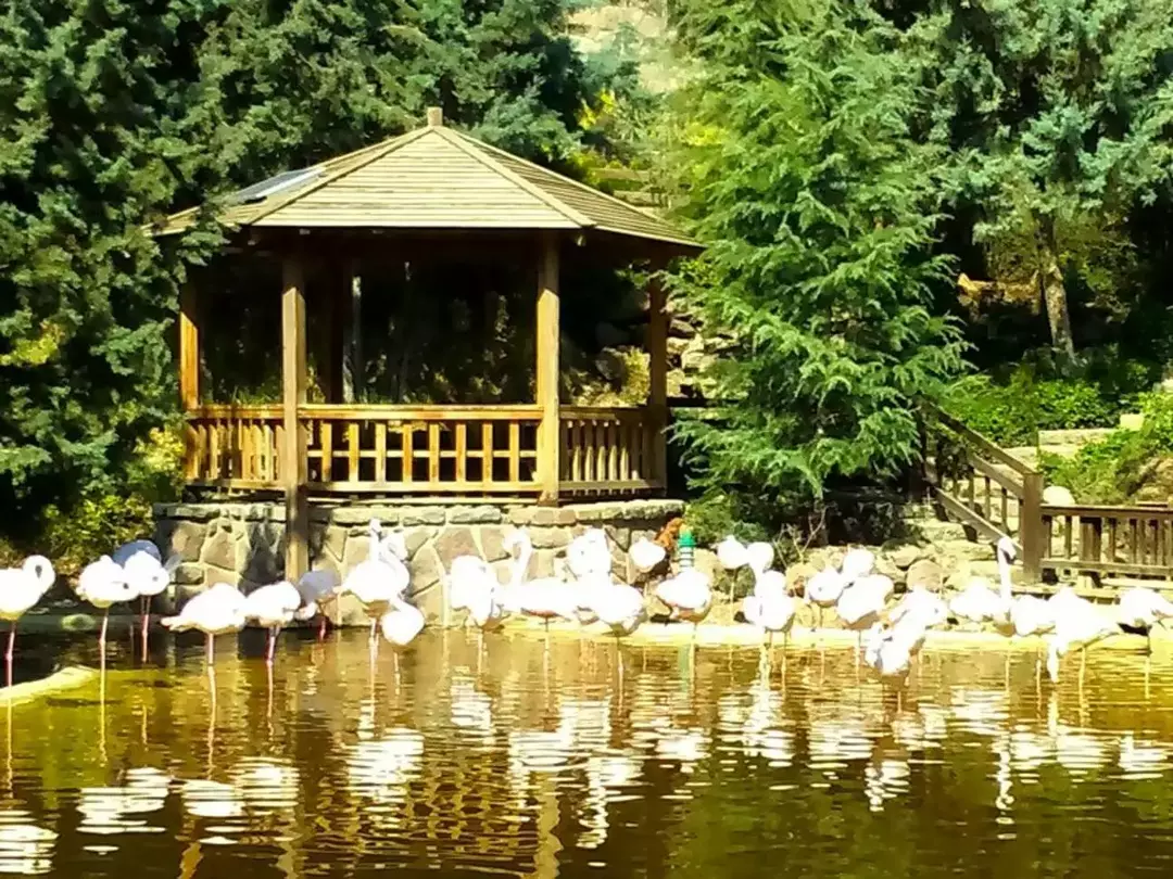 باغ پرندگان مشهد