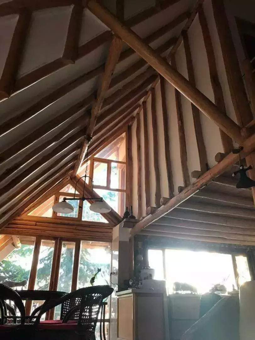 فوکیشن (کلبه چوبی)