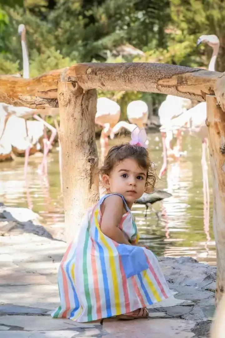 باغ پرندگان اصفهان