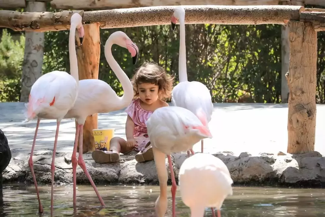 باغ پرندگان اصفهان