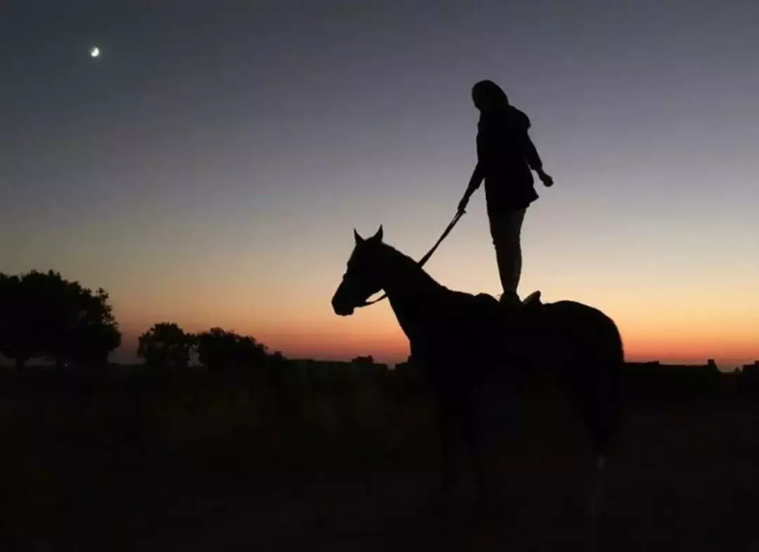 باشگاه سوارکاری هیرو