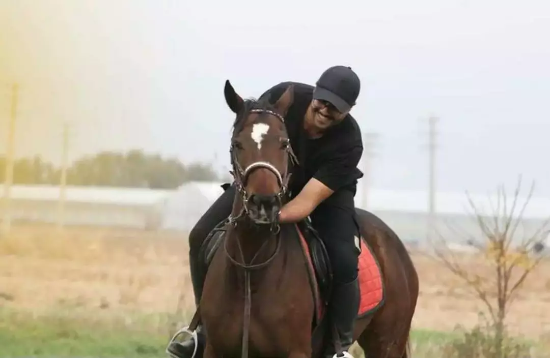 باشگاه سوارکاری هیرو