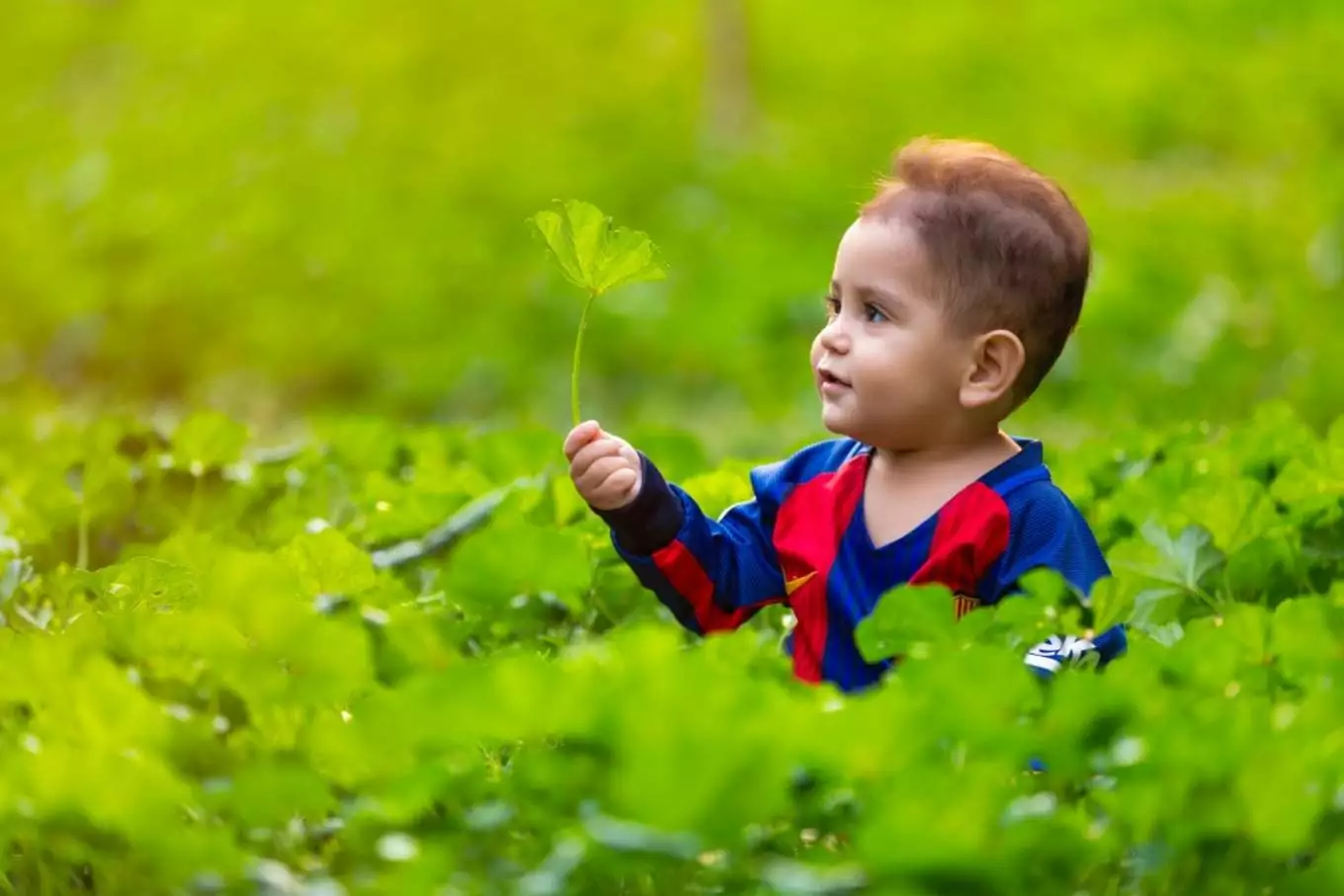 عکس پارک خانواده کرج