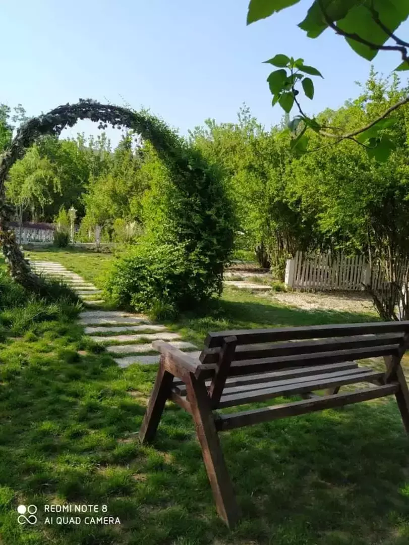 باغ عمارت صدرا/حکیمیه 