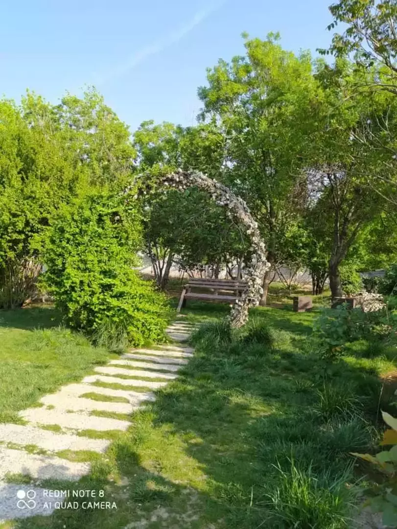 باغ عمارت صدرا/حکیمیه 