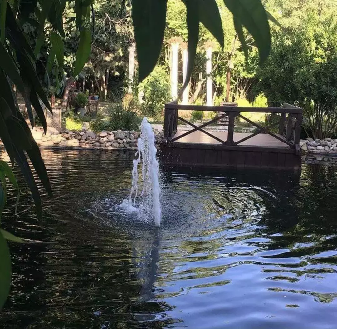 باغ عمارت صدرا/حکیمیه 