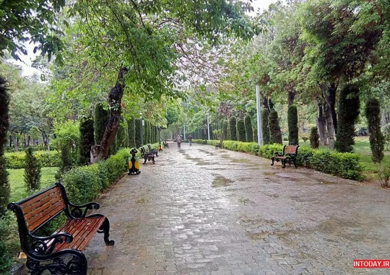 عکس پارک شهر
