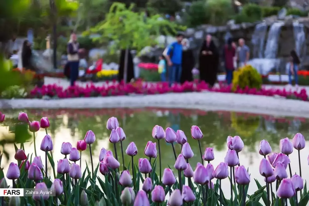 بوستان گل ها مشهد