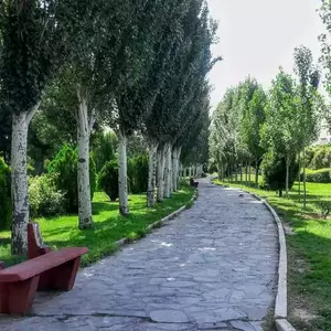 بوستان بزرگ ولایت