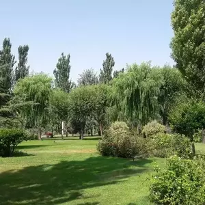 بوستان بزرگ ولایت