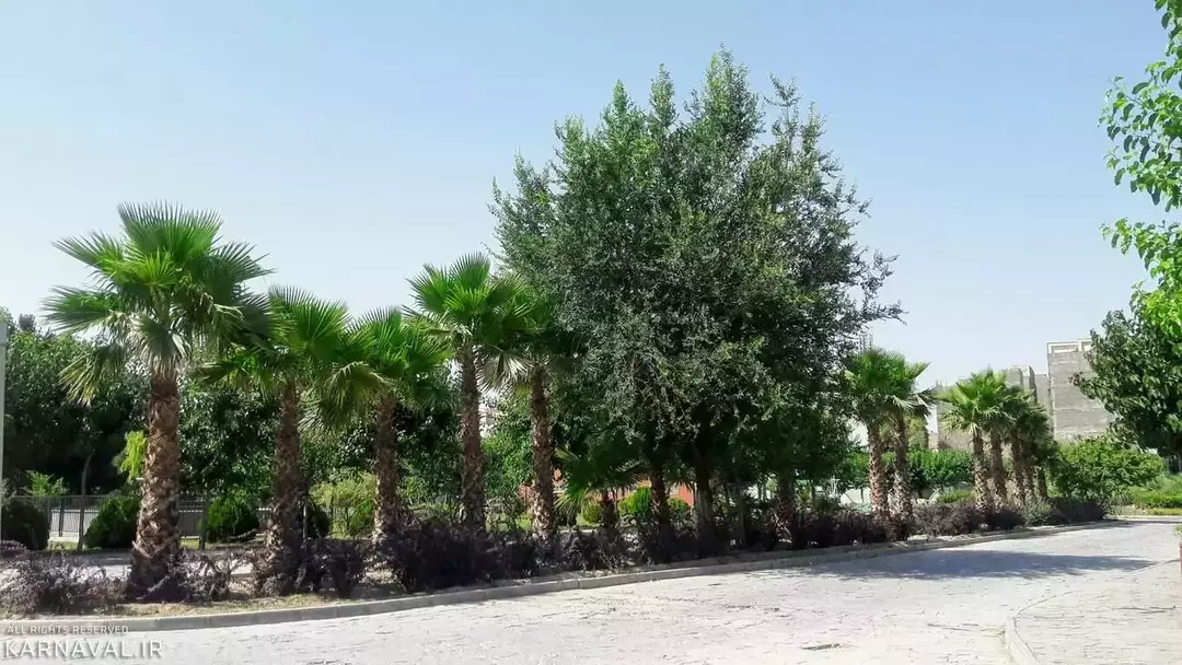 بوستان بزرگ ولایت