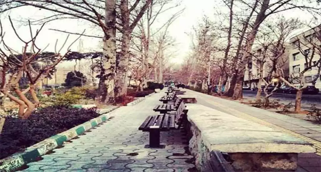 پارک شهرآرا