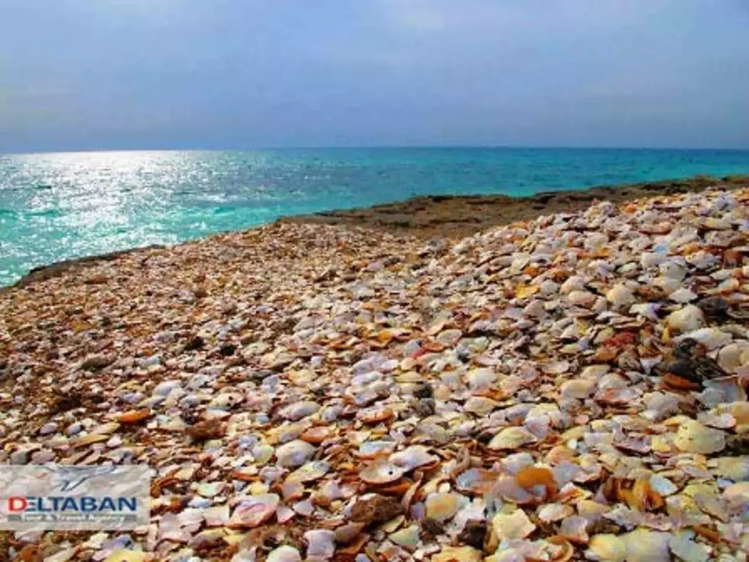 جزیره ی هندورابی