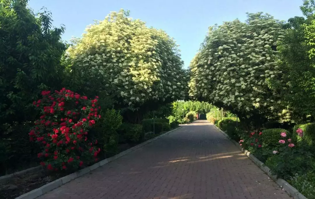 باغ عمارت زرینه