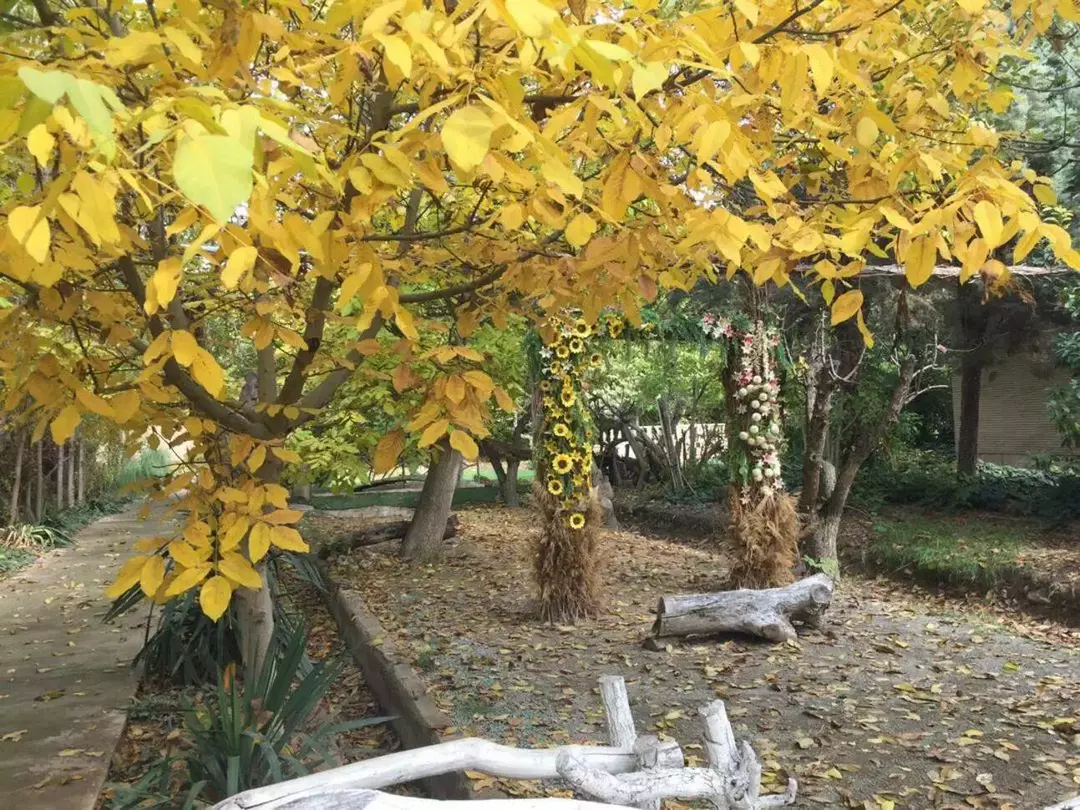 باغ عمارت زرینه