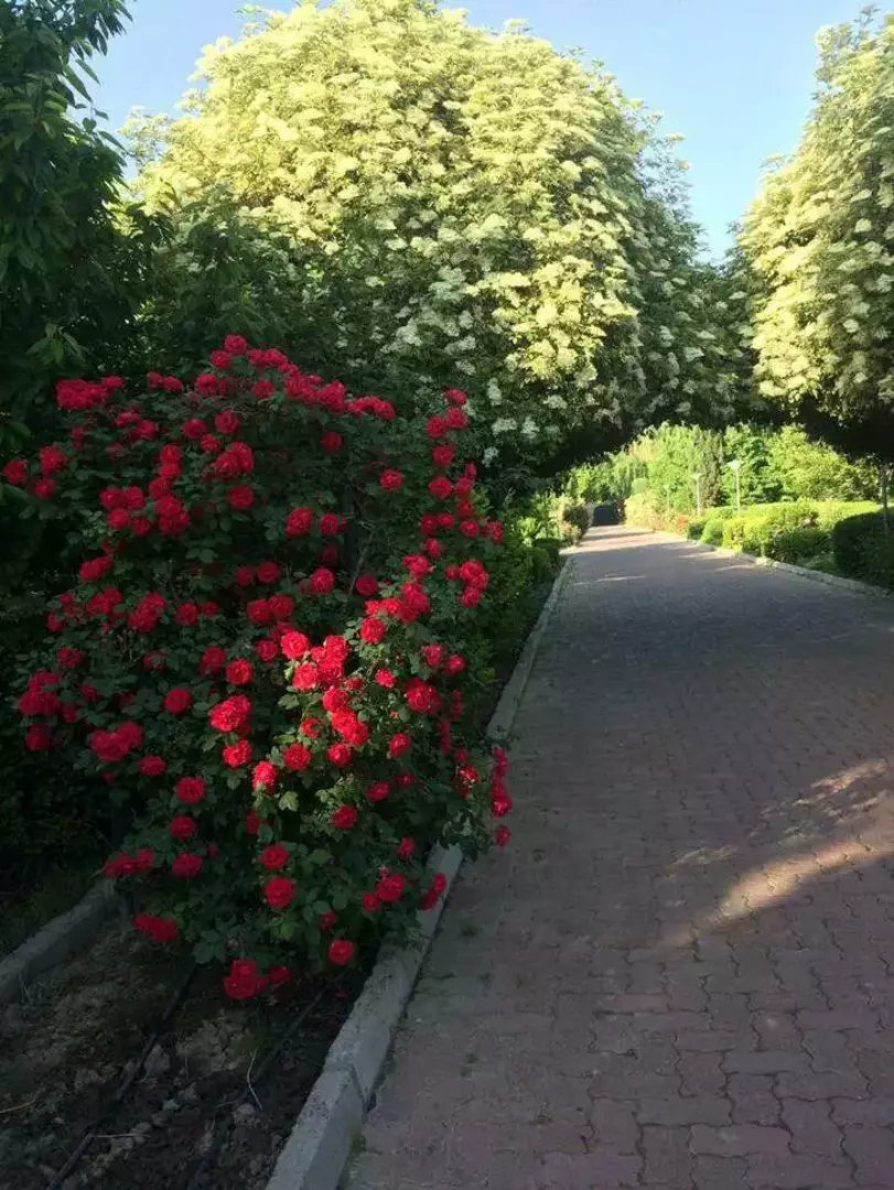 باغ عمارت زرینه