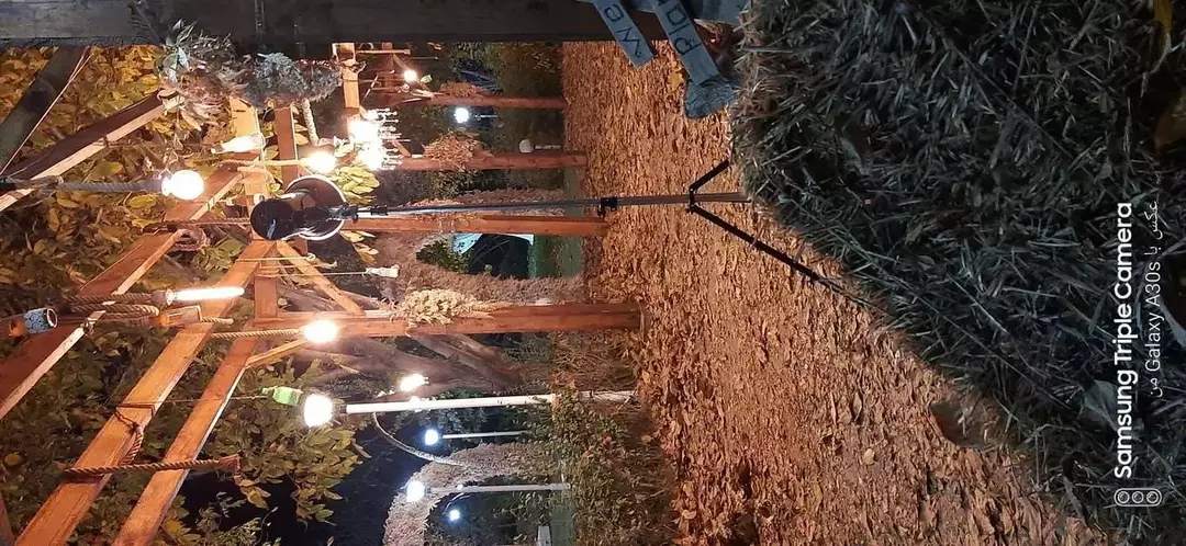 باغ عمارت قارتال