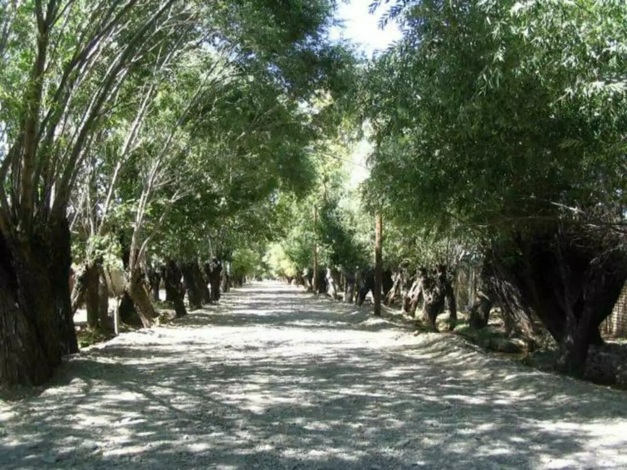 عکس دهکده تفریحی و گردشگری باغستان