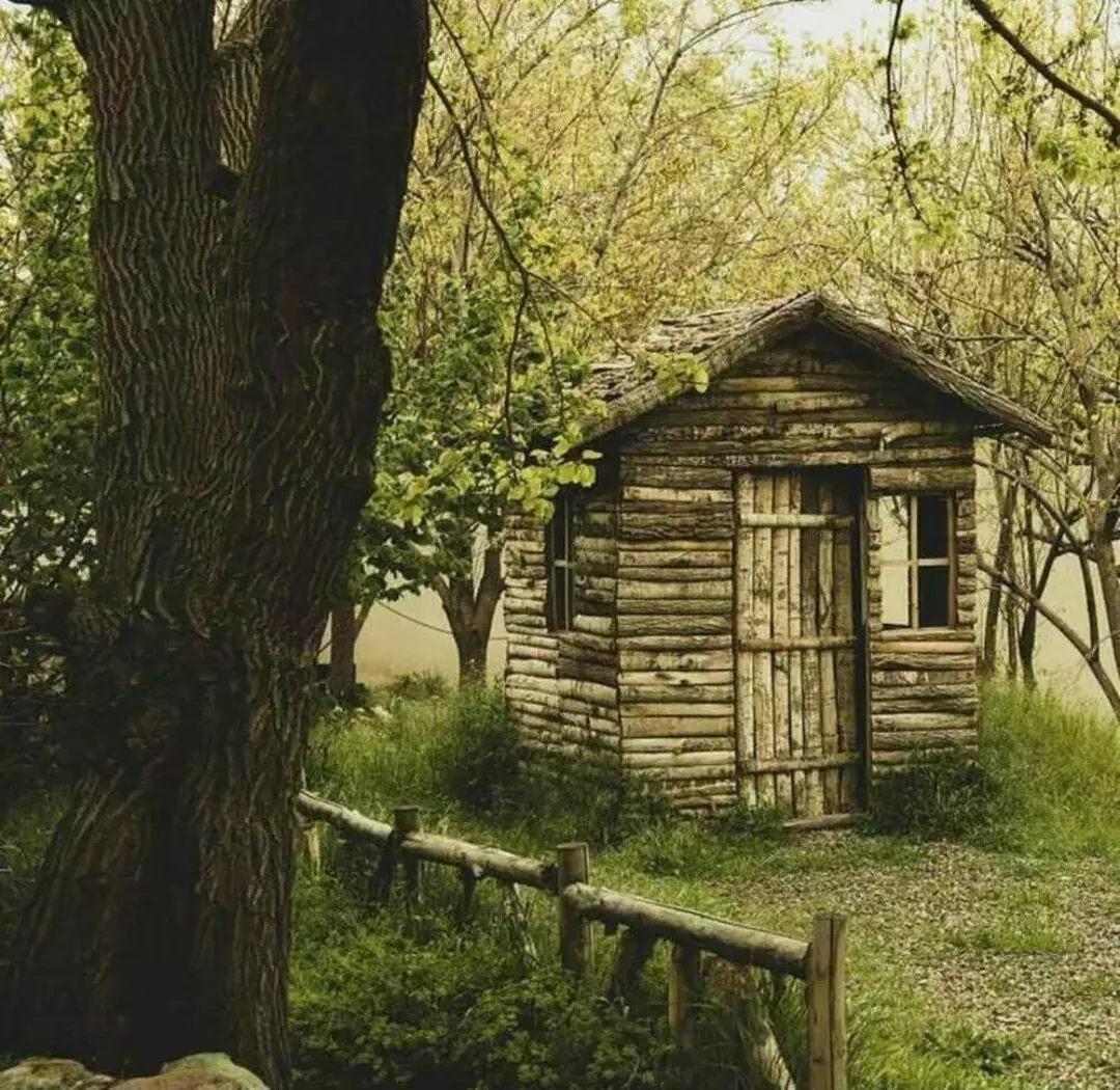 باغ عمارت صبا 