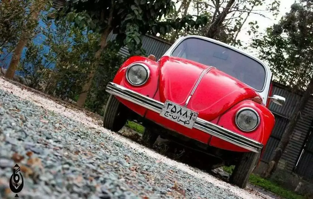 باغ عمارت کاج