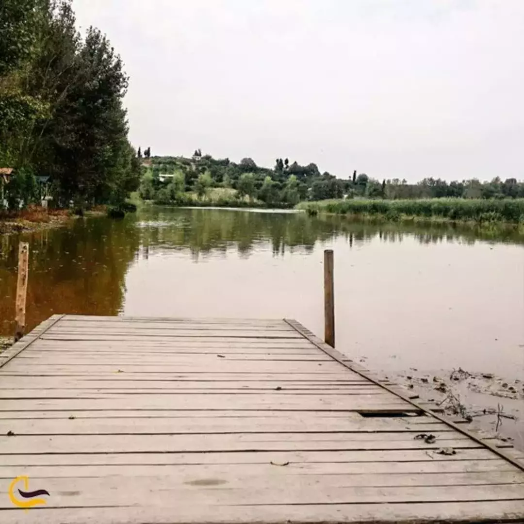 جنگل گیسومبوستان نیلوفرآبی