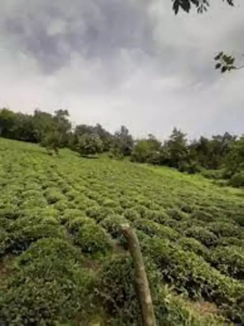 روستای بالابند