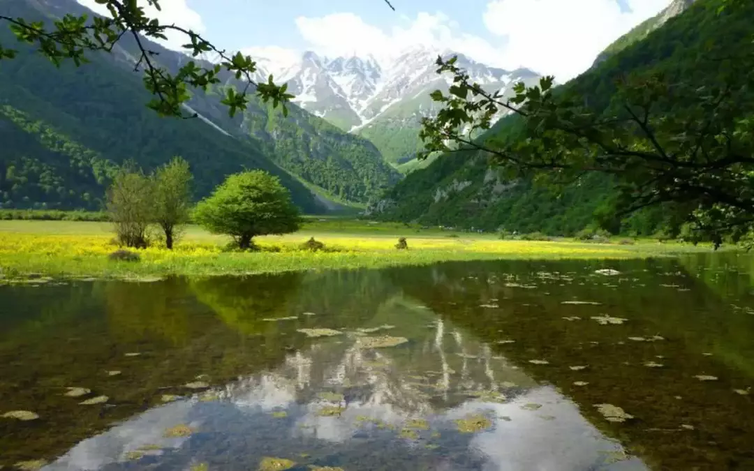 جنگل دوهزار سه هزار 