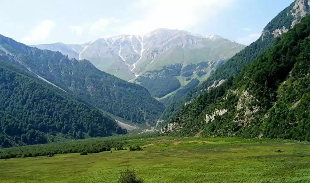 جنگل دوهزار سه هزار 