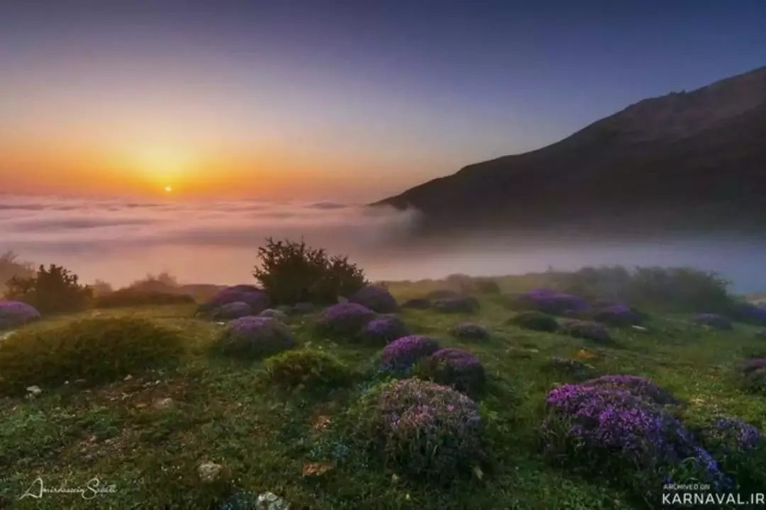 روستای فیبلند