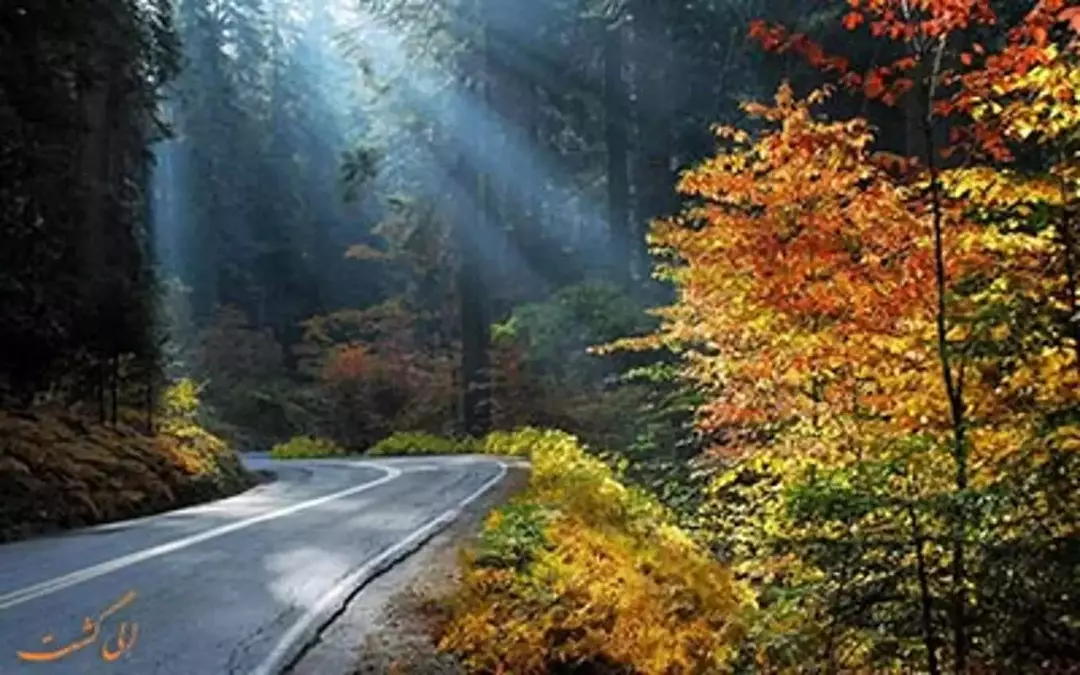 جنگل النگدره