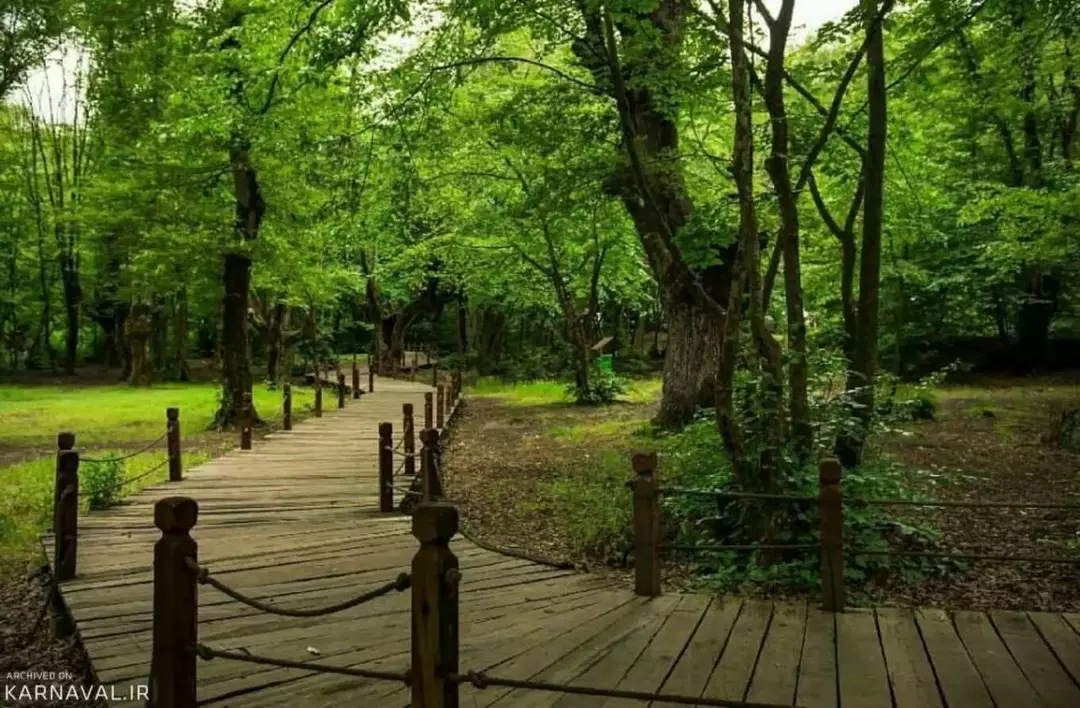 جنگل النگدره