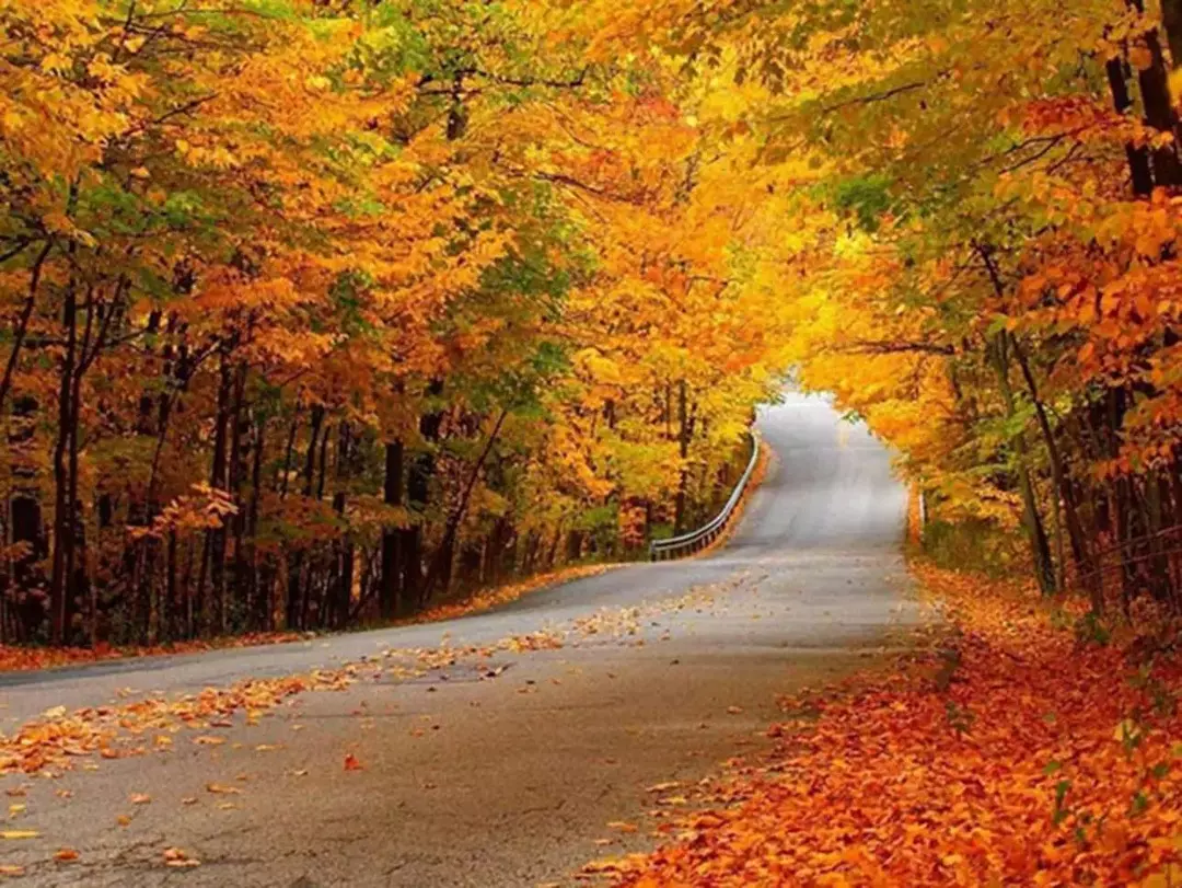 جنگل النگدره