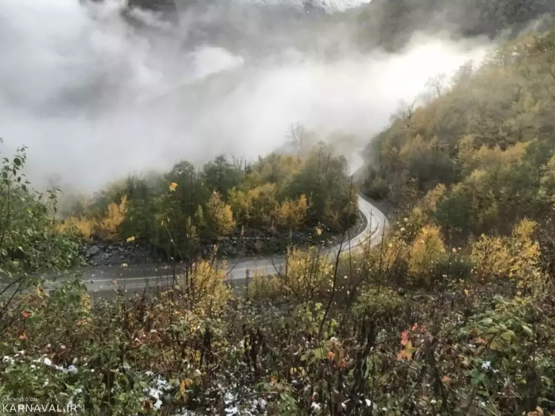 جنگل توسکستان