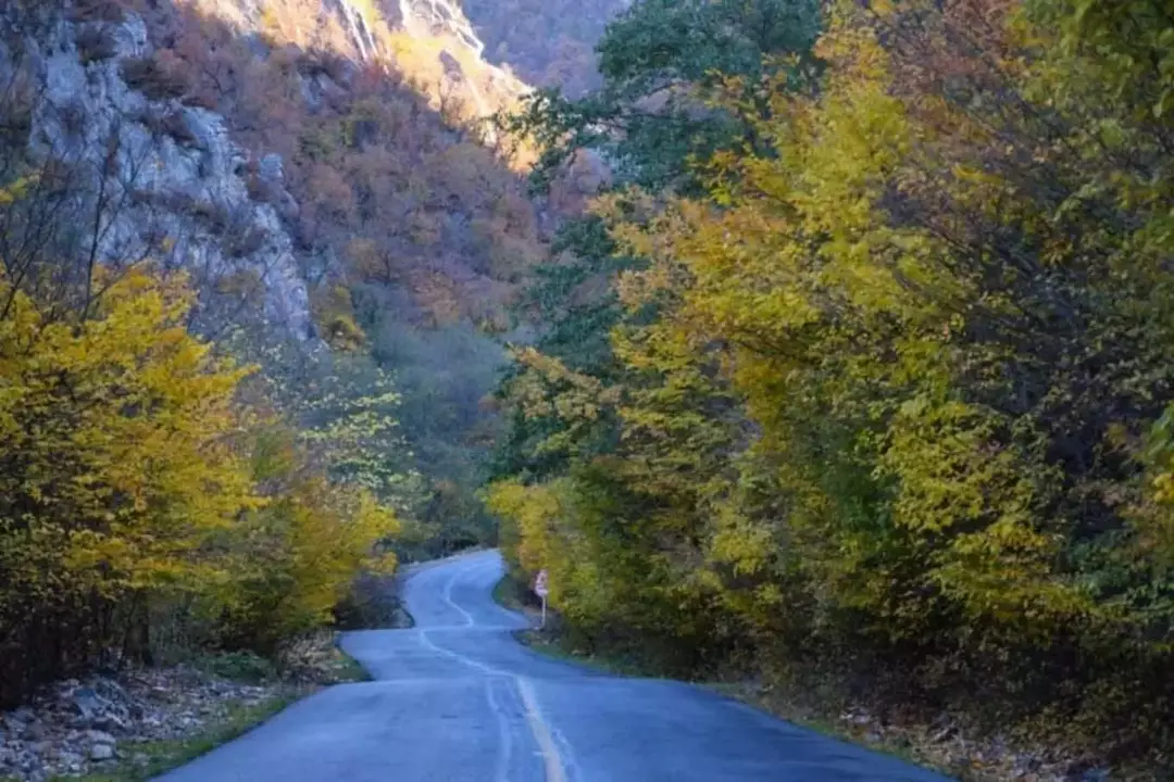 جنگل توسکستان