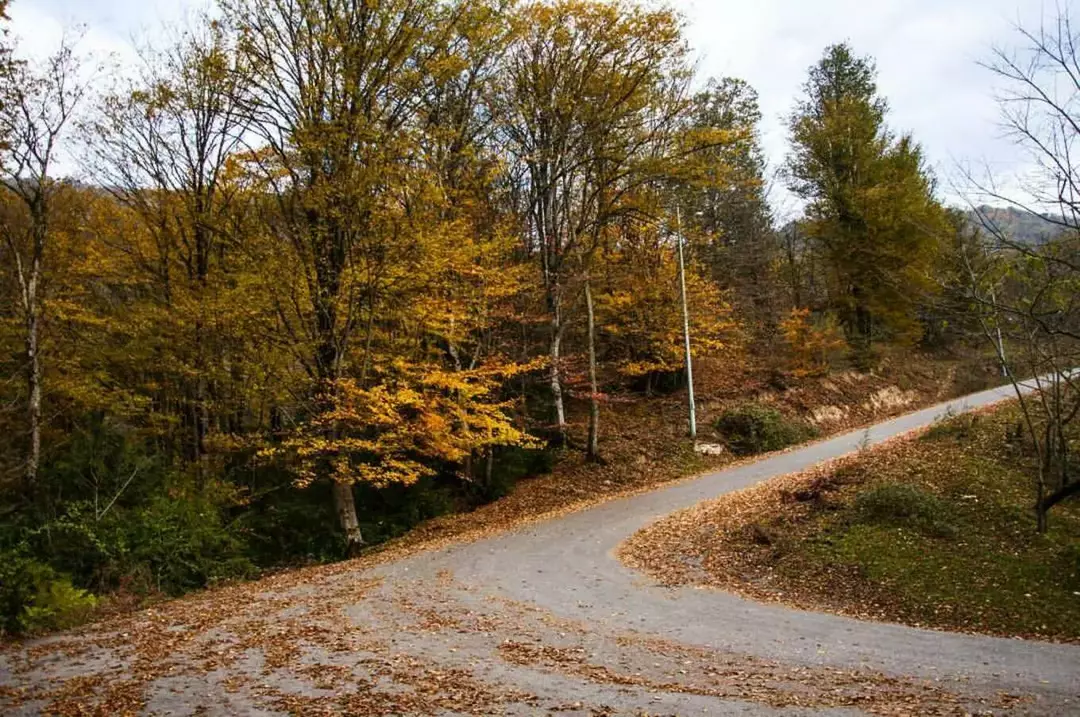 روستای زرین دشت فیروزکوه