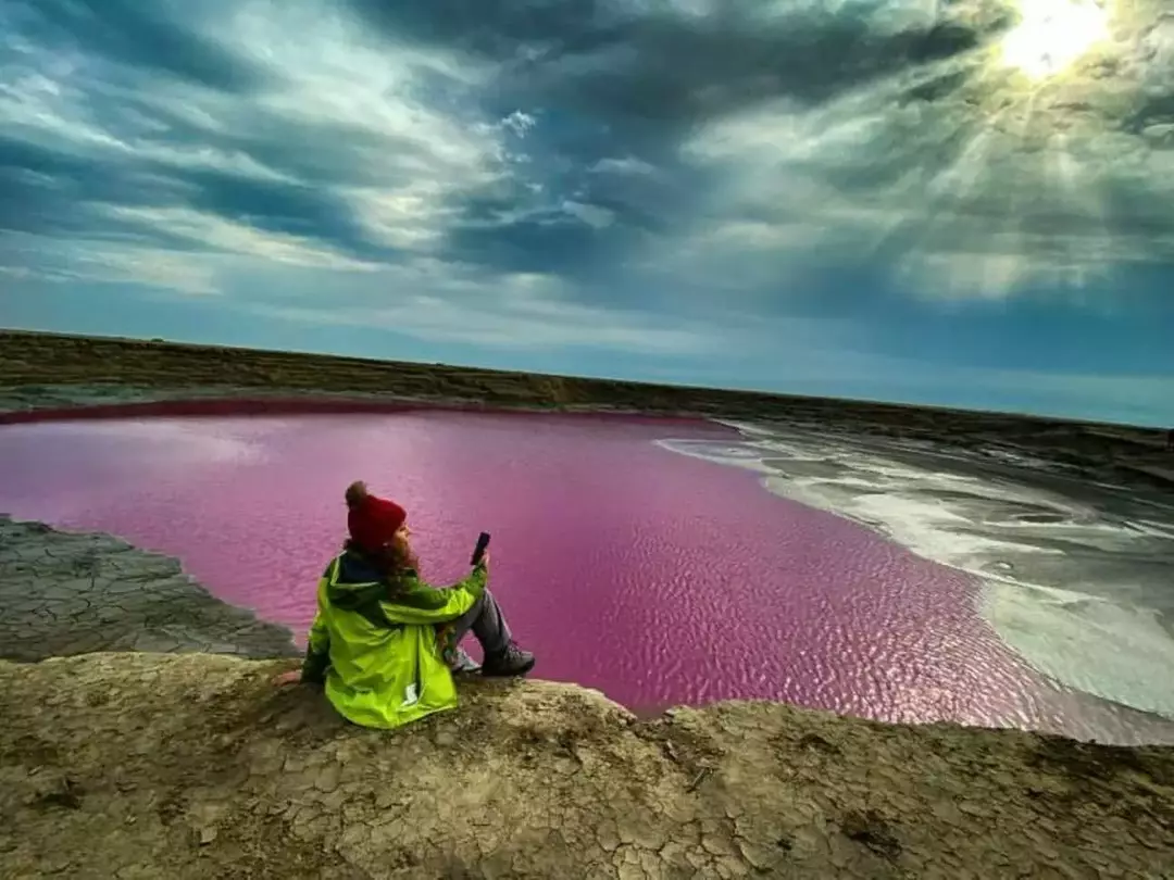 گلفشان نفتلیجه
