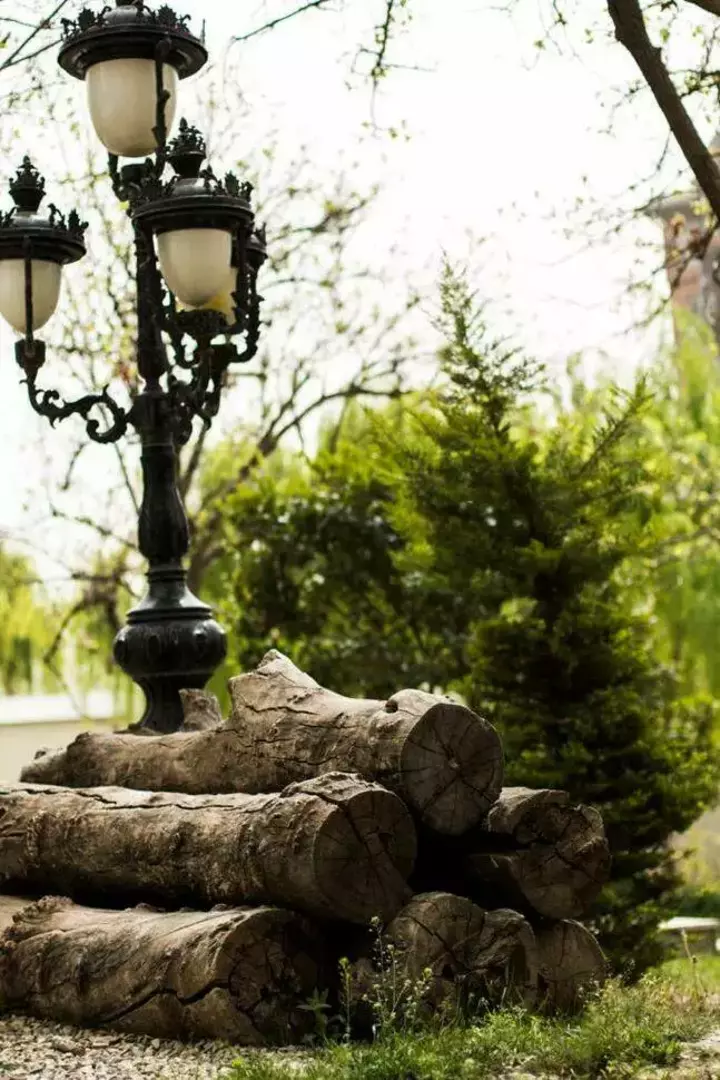 باغ عمارت صبا 