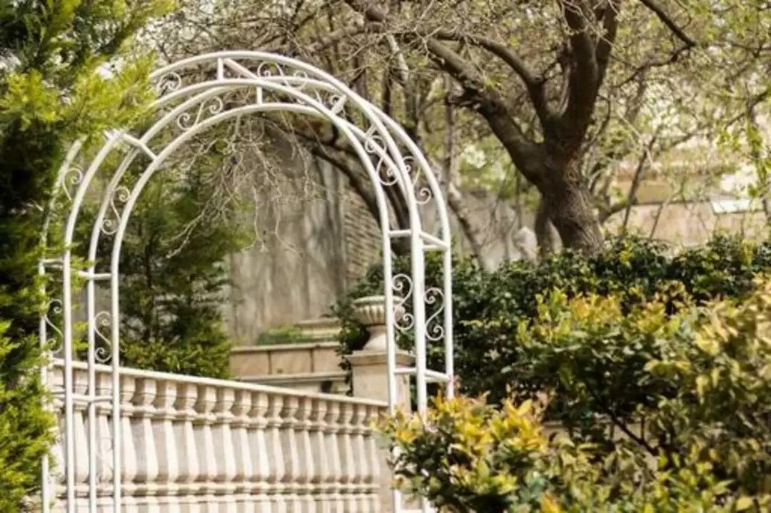 باغ عمارت صبا 