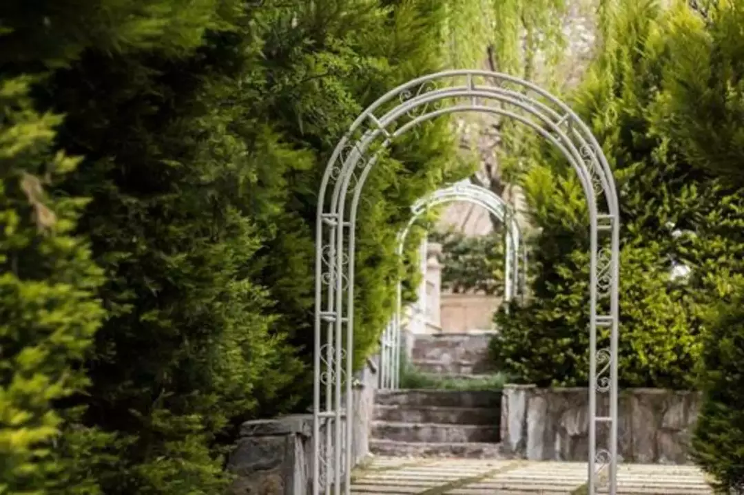 باغ عمارت صبا 