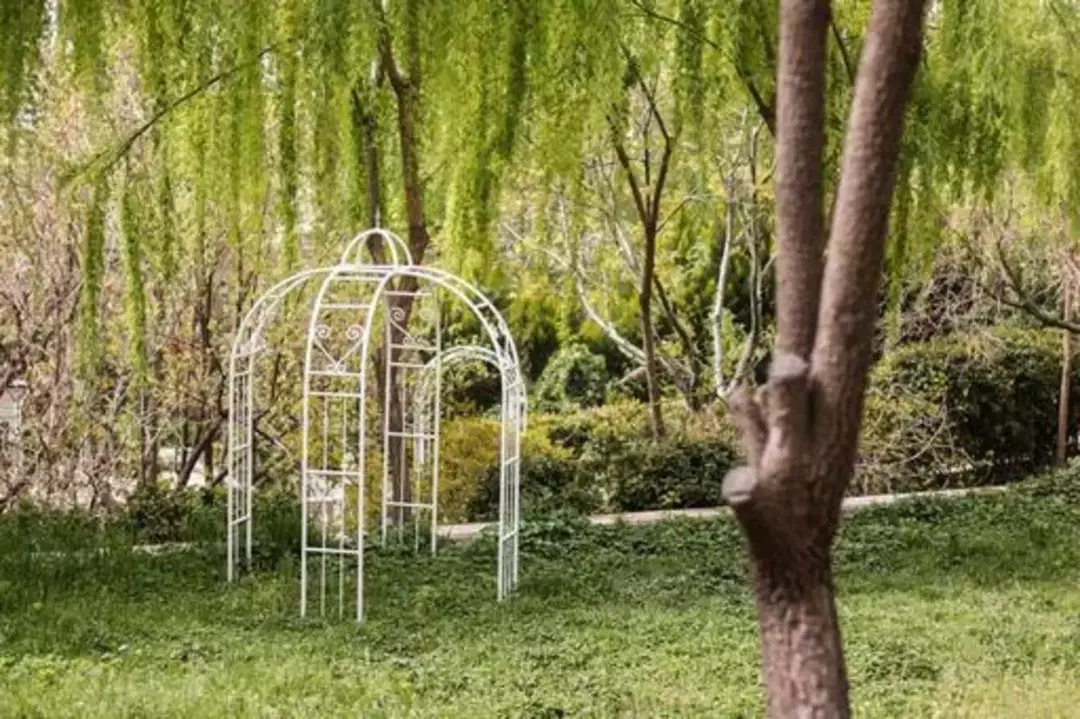 باغ عمارت صبا 