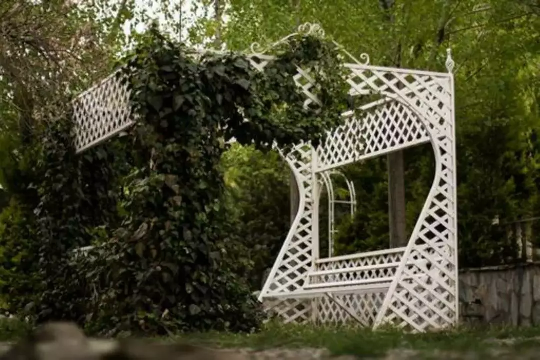 باغ عمارت صبا 