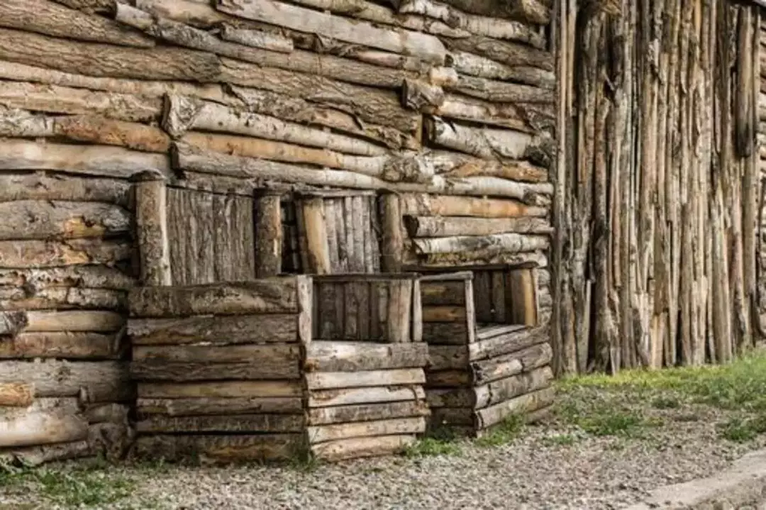 باغ عمارت صبا 