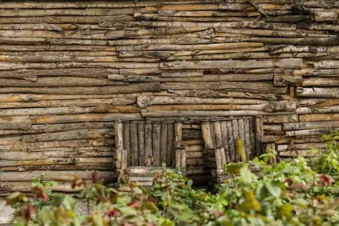 باغ عمارت صبا 