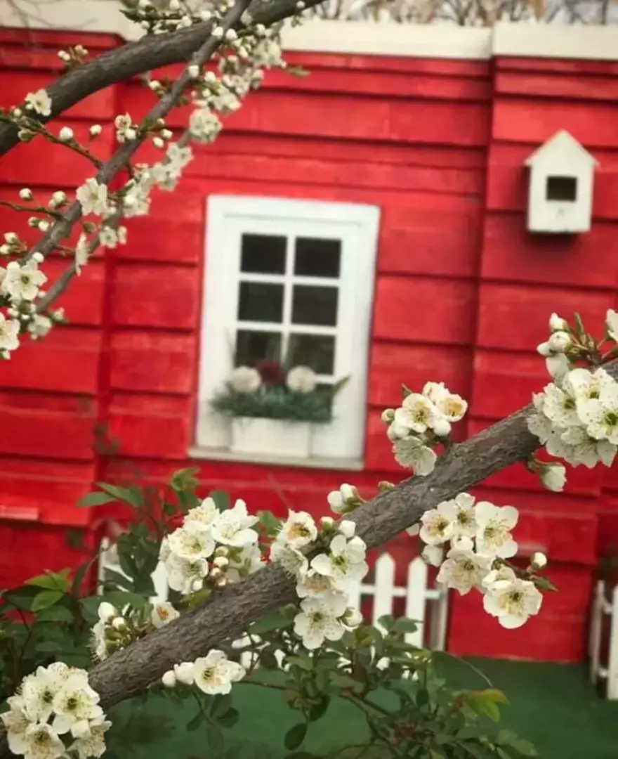 باغ عمارت قصر سفید